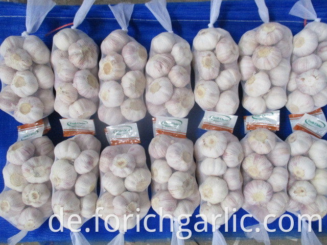 Fresh Garlic New Crop 2019